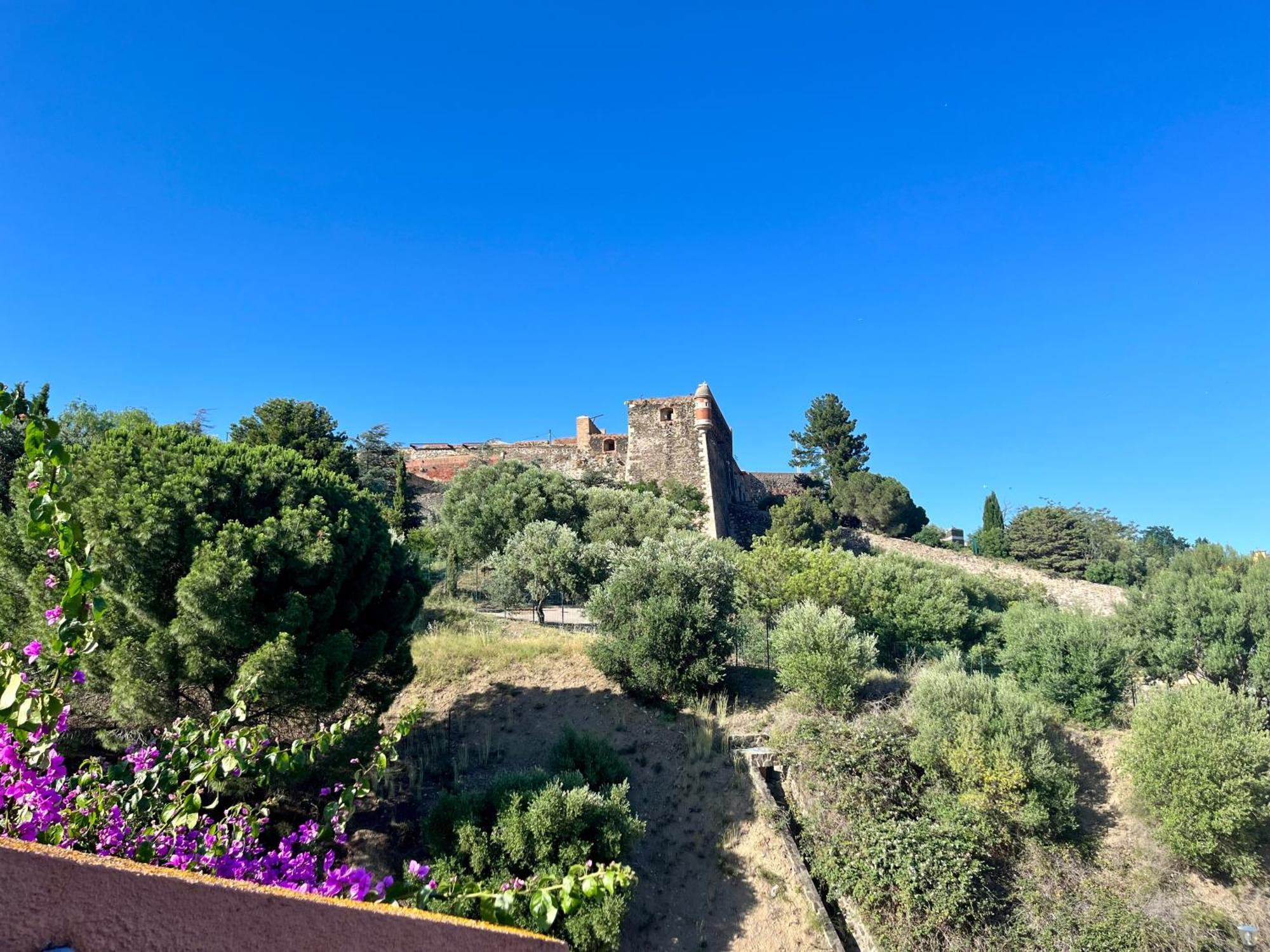 Appartement Collioure, Grande Terrasse Et Parking Экстерьер фото